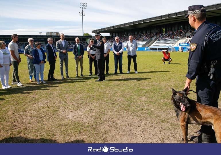 Más de 6.000 escolares de Cantabria asisten en Torrelavega a una exhibicción de perros policía