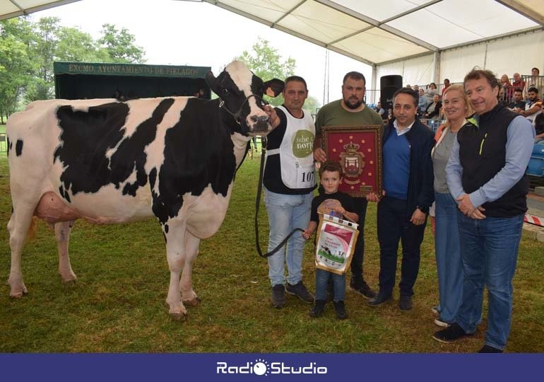 Cantón Karaja Montana, mejor vaca del 147 Concurso-exposición de ganado vacuno frisón