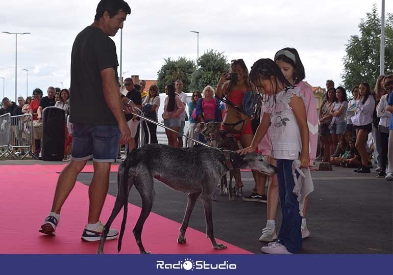 El desfile canino ‘Adóptame’ buscó un nuevo hogar para los animales que tienen en adopción y acogida 9 protectoras cántabras.