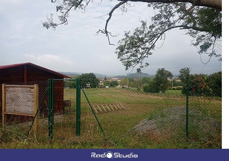 La finca ha sido desbrozada en estos últimos días, como paso previo antes de su adjudicación.