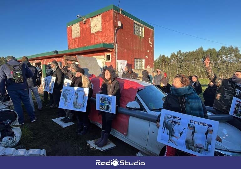 Más de 100 personas llegadas de varias zonas de España evitan por el momento la devolución de cinco vacas "maltratadas" a su propietario | Foto: Agencia